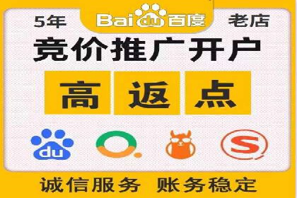百度推广的成功案例：从零到一的突破